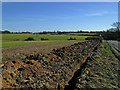 Looking towards Rivetts Farm from Rye Hill