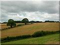 Farmland near Plumbley