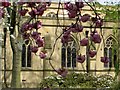 SE2421 : Blossom at Dewsbury Minster by stuart hartley