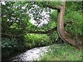 River Drone by Ramshaw Woods, Unstone