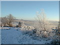 A frosty day at Newton of Cairnhill