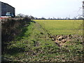 Footpath beside High Oaks Farm, Gissing