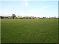 Pasture on Brambledown Farm