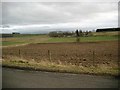 Ploughed field near Purgavie