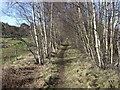 Footpath along line of former Deeside railway.