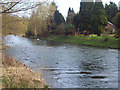 River Avon at Fittleton