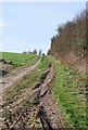 Track on North Hill Farm