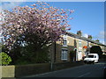 Mellor Post Office