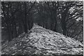 Balbeuchley Incline on the original Dundee to Newtyle Railway, seen from the top