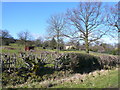 Malthouse Lane - View across field to Cottages