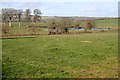 Pasture and Pond on Tengrove Farm