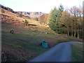 Roadside at Darren, Llangattock