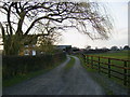 Hall Bank Farm on Shipton Moor