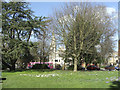 Library Green, Enfield