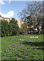 Library Green, Enfield, looking towards Church Street