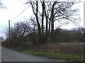 Roadside on Butchers Lane, Aughton Chase