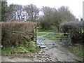 Trackway at Morfydd