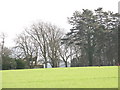 A glimpse of the new hall at Y Faenol