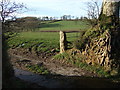 Gateway north of Bratton Clovelly