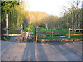 Footpath alongside the Cam Brook