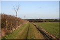 Bridleway to Houghton Hall