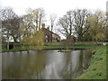 Townend pond, Stillington