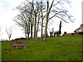 H2358 : Famine Graveyard, Irvinestown by Kenneth  Allen