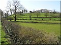 Sidaire Townland, Ballinamallard