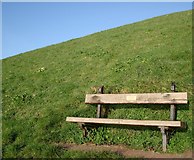 SX8958 : Memorial bench, Sugar Loaf, looking to the South West by Tom Jolliffe