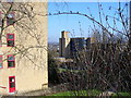 Surrey University from Stag Hill