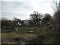 Allotments at Dawney Lane