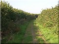 Farm Road near Lambriggan