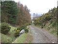 Track to Gargunnock Hills