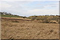 Heathland and old coal bing