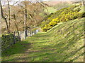 Track above Pentre