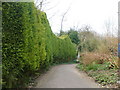 Footpath down Horton Hill