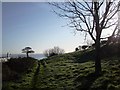 Footpath to Sugar  Loaf, early morning