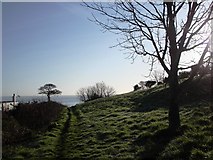 SX8958 : Footpath to Sugar  Loaf, early morning by Tom Jolliffe
