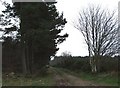 Farm track crossing Hirn road