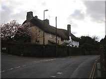 SX9154 : Thatched House, corner of Southdown Hill Road, Brixham by Tom Jolliffe