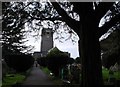 Graveyard pathway, St Mary the Virgin, Higher Brixham