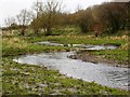 River Ray, Barnfield Road, Swindon (3)