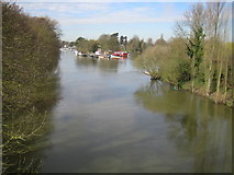 TQ0765 : River Thames: Desborough Channel by Nigel Cox