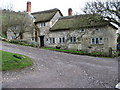 Thatched Cottage Great Seaside .Devon