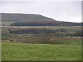 Disused quarry near Wickenlow farm