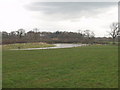 Duck flighting  pond at Caegoody