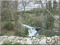 NJ6201 : Wee waterfall by Stanley Howe