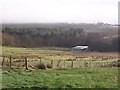 Cwmbargoed Farm and Pendrainllwyn forestry plantation