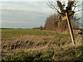 Footpath to Holbrook Wood