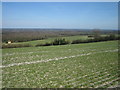 View From the Hogs Back - Facing North